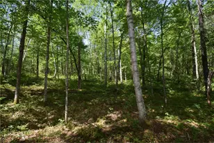 29093 Deerpath Pass, Jackson Township, WI 54830 - Photo 50