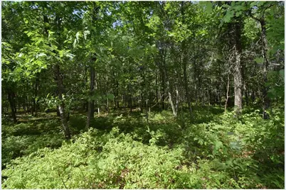 29093 Deerpath Pass, Jackson Township, WI 54830 - Photo 74
