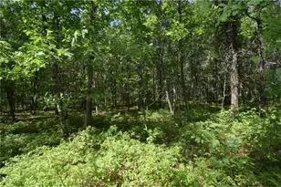 29093 Deerpath Pass, Jackson Township, WI 54830 - Photo 74
