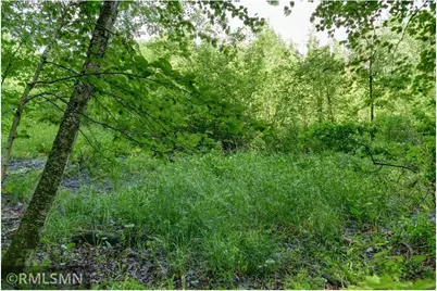 124Xx N Gabrielson Lake Road, Luck, WI 54853 - Photo 16