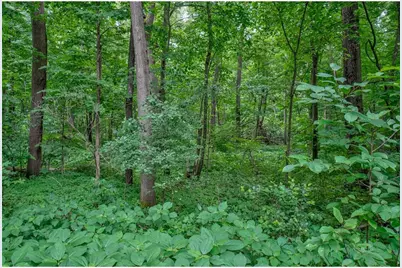 N8554 1205th Street, Clifton Township, WI 54022 - Photo 40