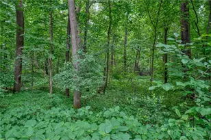 N8554 1205th St, Clifton Township, WI 54022 - Photo 40