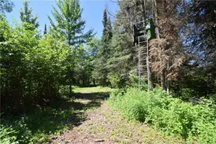 14622 S Swedish Hwy, Dairyland, WI 54830 - Photo 70