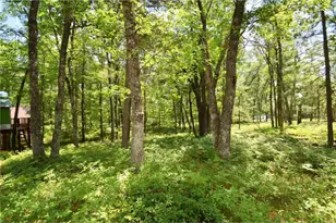 29774 Little Bear Dr, Danbury, WI 54830 - Photo 48