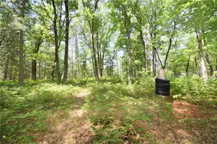29774 Little Bear Dr, Webb Lake, WI 54830 - Photo 64