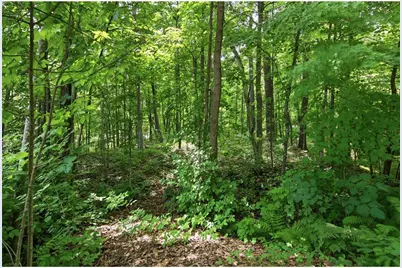 1314N County Hwy F, Birchwood, WI 54817 - Photo 32