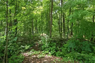 1314N County Hwy F, Birchwood, WI 54817 - Photo 32