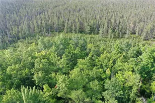 W9527 Mile Rd, Ladysmith, WI 54848 - Photo 40