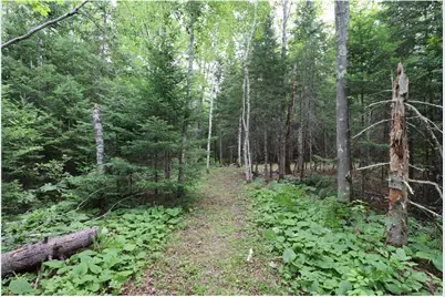 28395 County Highway G, Ashland, WI 54806 - Photo 54