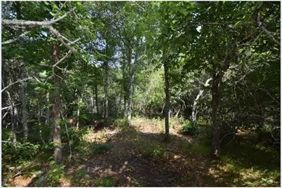 31075 N Bass Lake Road, Swiss Township, WI 54830 - Photo 58