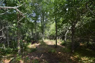 31075 N Bass Lake Rd, Swiss Township, WI 54830 - Photo 58