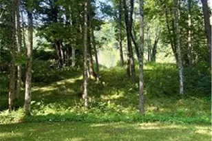 N2595 Flambeau River Ln, Ladysmith, WI 54848 - Photo 42