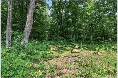 N9825 Crystal Waters Court, Willard, WI 54493 - Photo 42