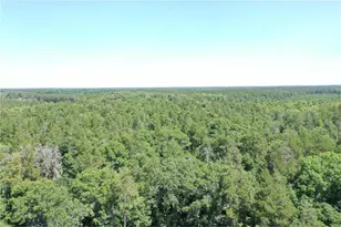 14688 Oeltjen Rd, Grantsburg, WI 54840 - Photo 4