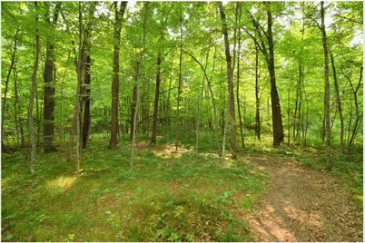 25707 Smith Road, Webster, WI 54893 - Photo 52