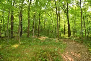25707 Smith Rd, Webster, WI 54893 - Photo 52