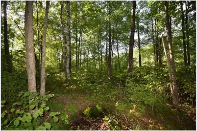 6595 Pike Bend Road, Meenon Township, WI 54893 - Photo 46