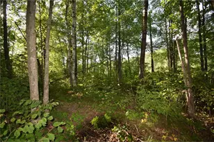 6595 Pike Bend Rd, Meenon Township, WI 54893 - Photo 46