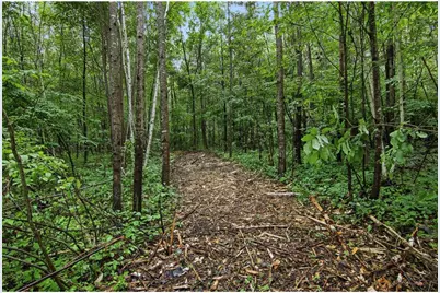 Lot 1 4th Street, Clayton, WI 54004 - Photo 8