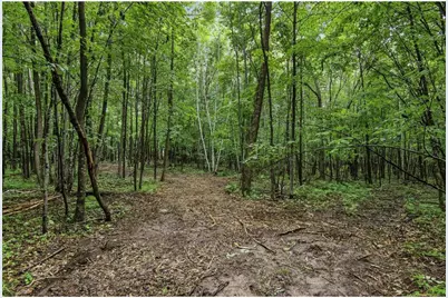 Lot 1 4th Street, Clayton, WI 54004 - Photo 12