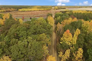 24771 Swede Rd, Webster, WI 54893 - Photo 4
