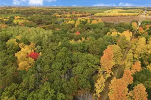 24771 Swede Rd, Webster, WI 54893 - Photo 40