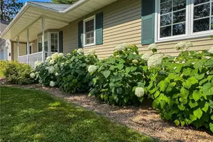 215 Division St, Woodville, WI 54028 - Photo 56