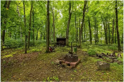 N7124 Arbor Lane, Durand, WI 54736 - Photo 46