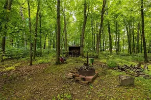 N7124 Arbor Ln, Durand, WI 54736 - Photo 46