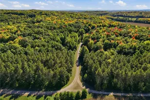 N6587 State Road 40, Elk Mound Township, WI 54739 - Photo 66