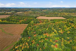N6587 State Road 40, Elk Mound Township, WI 54739 - Photo 60