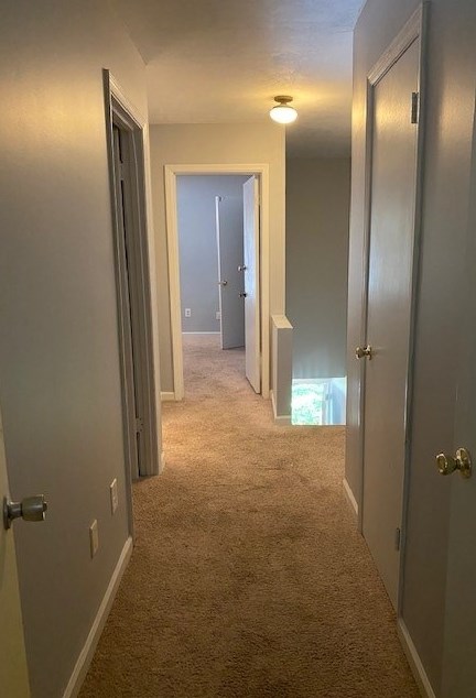465 Forest Hills Dr, Augusta, GA 30909