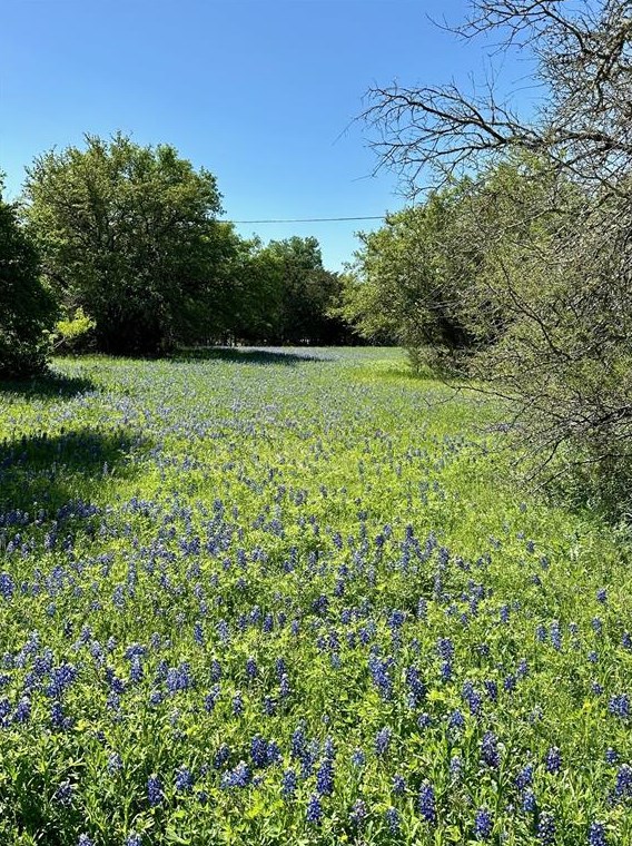 2195 Old Stagecoach Rd, Uhland TX  78640-5671 exterior