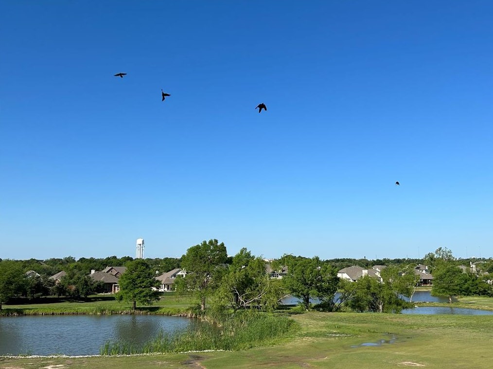 19308 Sea Is Dr, Pflugerville TX 78660-5360 exterior