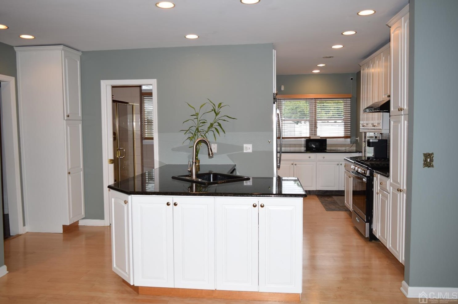 954 Mulberry St, Trenton NJ  08648-4524 exterior