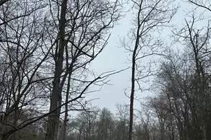 201 Wilson Rd, Franklin Township, NJ 08873 - Photo 8