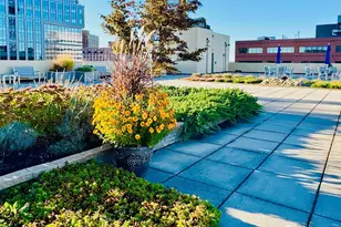 1 Spring St, New Brunswick, NJ 08901 - Photo 46