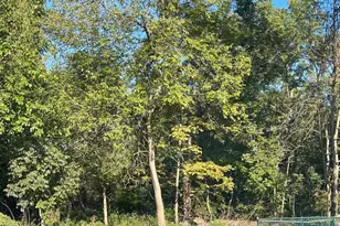 76 Woodland Rd, Piscataway Township, NJ 08854 - Photo 2