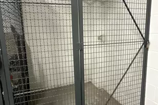 1 Spring St, New Brunswick, NJ 08901 - Photo 42