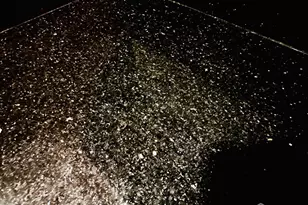 1 Spring St, New Brunswick, NJ 08901 - Photo 28