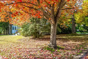 47 Clive St, Metuchen, NJ 08840 - Photo 30