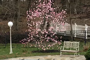 124 Taylor Mills Rd, Manalapan Township, NJ 07726 - Photo 22