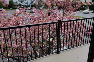 1709 Woodbridge Commons Way Way, Iselin, NJ 08830 - Photo 16