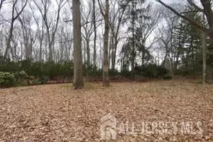 169 Applegarth Rd, Monroe Township, NJ 08831 - Photo 84