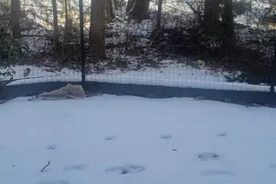 2402 Candlelight Ct, Helmetta, NJ 08828 - Photo 10