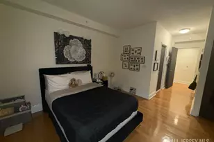 1 Spring St, New Brunswick, NJ 08901 - Photo 10