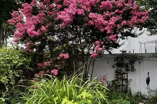 6 Brittany Way, South Brunswick Township, NJ 08824 - Photo 66