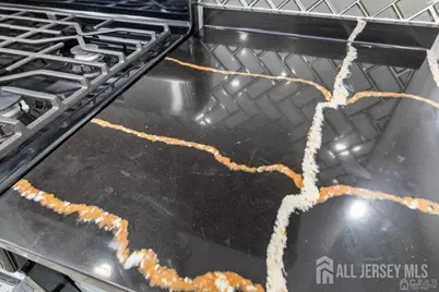 29 S 2nd Avenue S, Highland Park, NJ 08904 - Photo 22