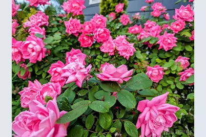 3 Birchwood Road, Jamesburg, NJ 08831 - Photo 48