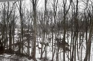 47 Galewood Dr, Old Bridge Township, NJ 07747 - Photo 22